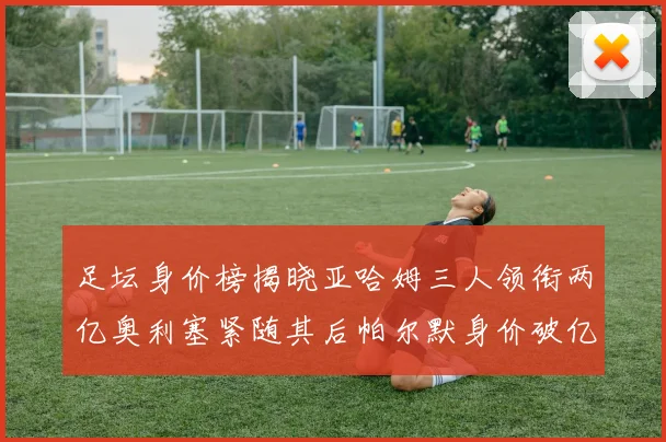 足坛身价榜揭晓亚哈姆三人领衔两亿奥利塞紧随其后帕尔默身价破亿