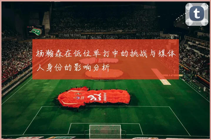 杨瀚森在低位单打中的挑战与媒体人身份的影响分析